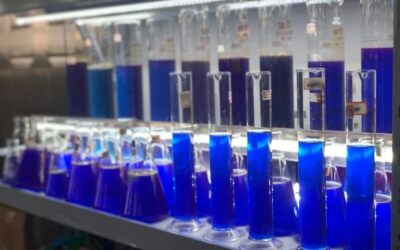 How is Phycocyanin made