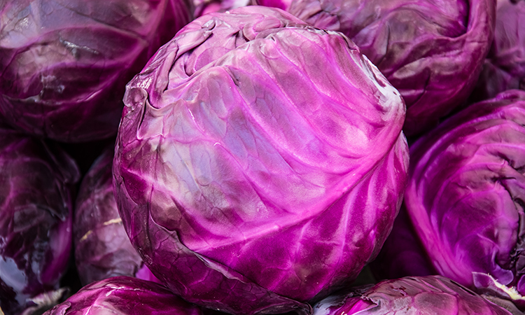 Red cabbage colour