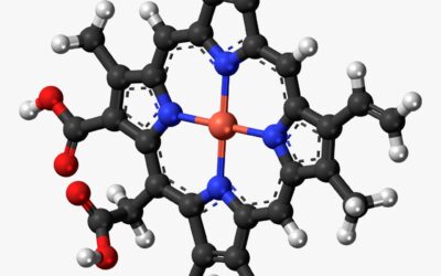 WHAT TO KNOW ABOUT SODIUM COPPER CHLOROPHYLLIN?