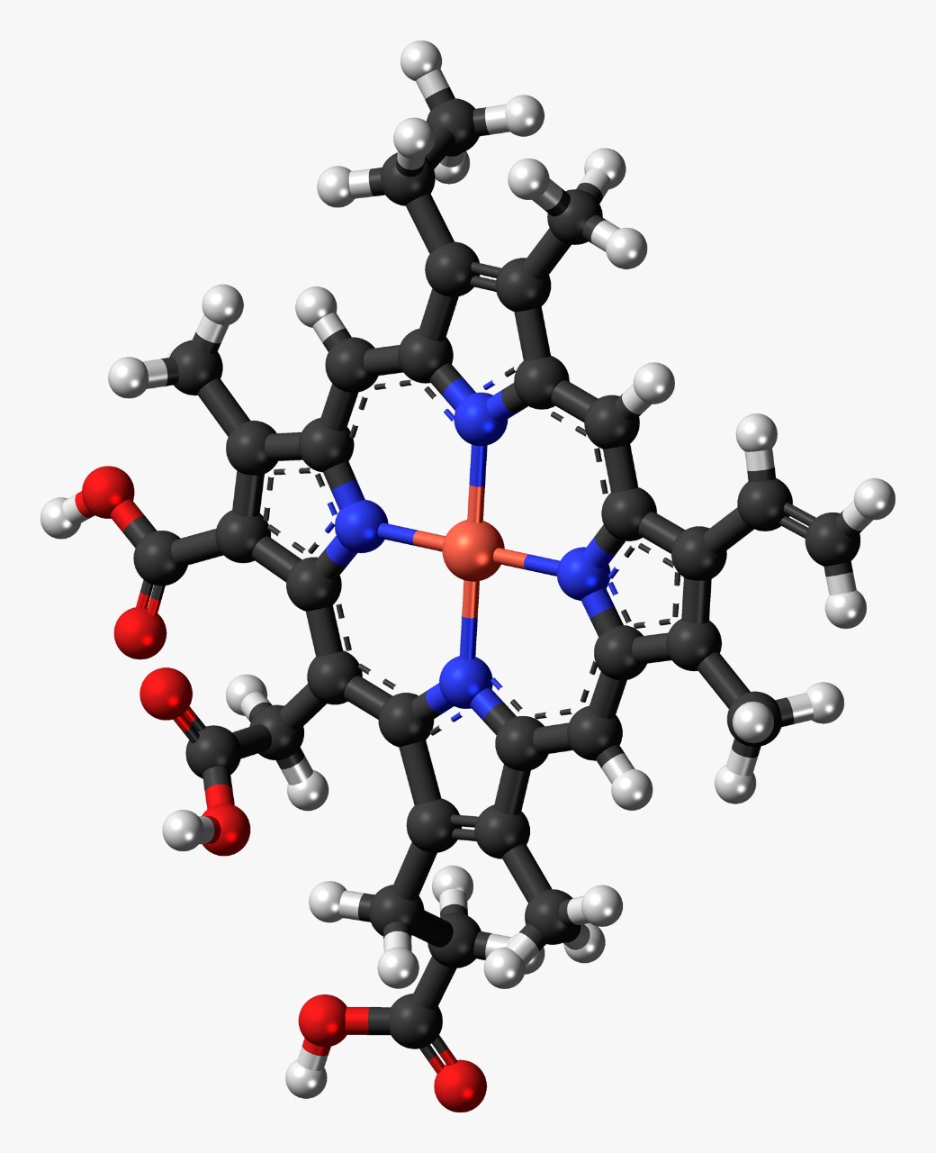 WHAT TO KNOW ABOUT SODIUM COPPER CHLOROPHYLLIN? Santacolor